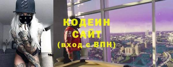 индика Бронницы