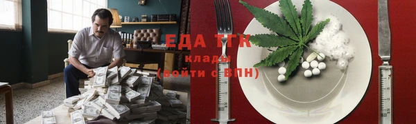 индика Бронницы