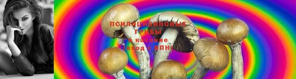 марихуана Бородино