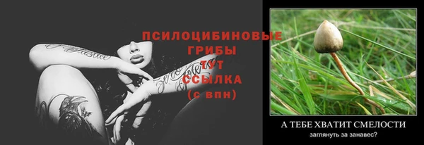 гашик Верхнеуральск