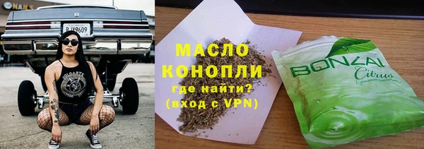 индика Бронницы
