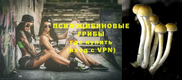 прущий лед Верея