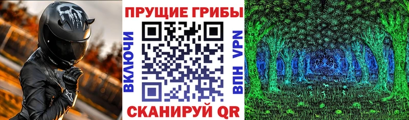 Галлюциногенные грибы Cubensis  закладки  ссылка на мегу ссылка  Галич 